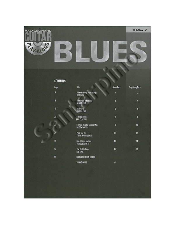 GUITAR PLAY ALONG VOLUME 7 BLUES GUITAR TAB - AUTORI VARI