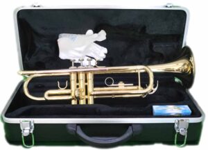 W. STERN TROMBA LACCATA IN SIB CON ASTUCCIO