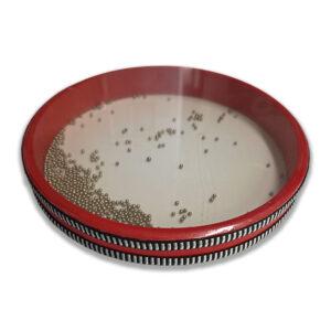 LYH25A OCEAN DRUM 10"