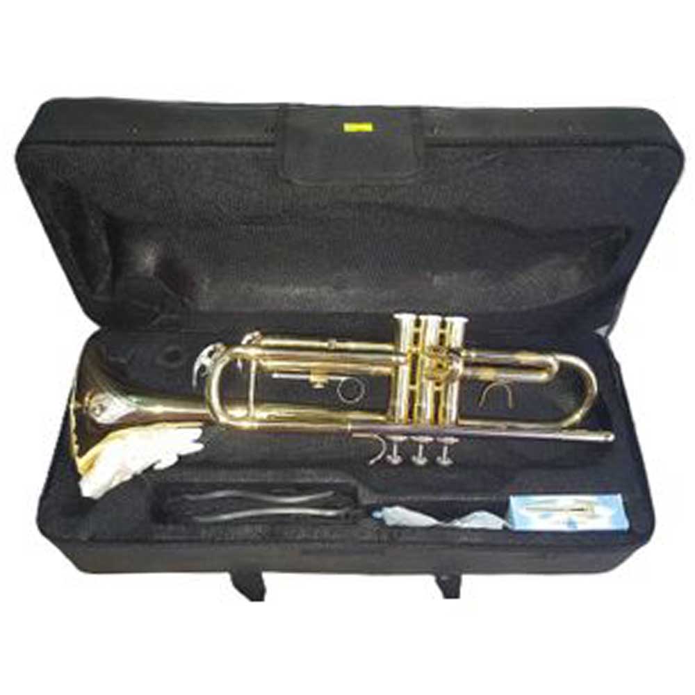 Tromba Dam DTR100 Con astuccio